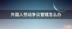 外国人劳动争议管辖怎么办
