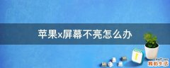 苹果x屏幕不亮怎么办