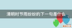 清明时节雨纷纷的下一句是什么