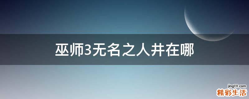 巫师3无名之人井在哪