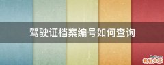 驾驶证档案编号如何查询