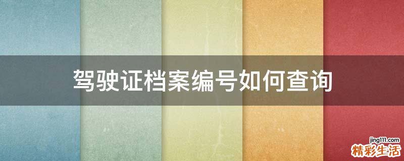 驾驶证档案编号如何查询