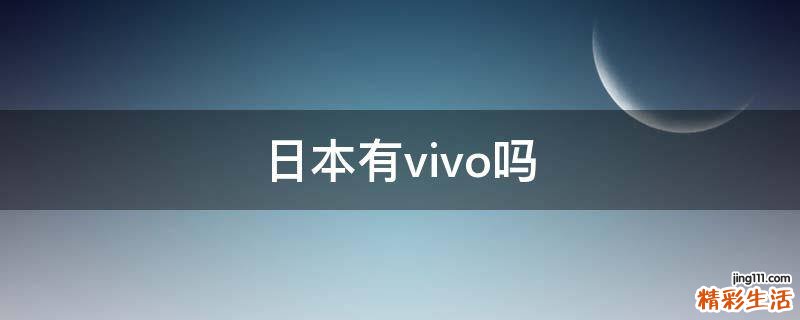 日本有vivo吗