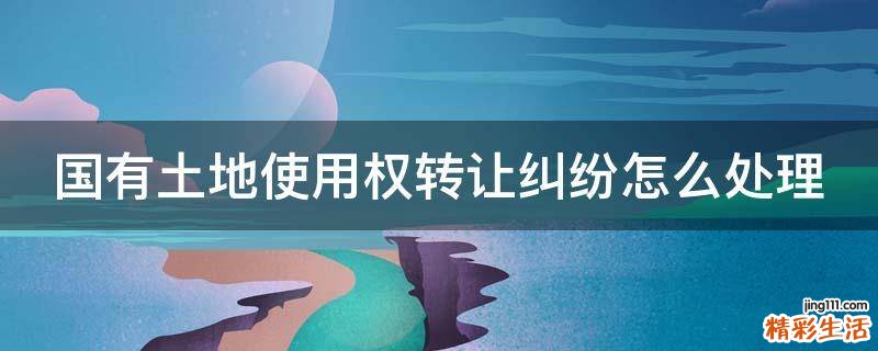 国有土地使用权转让纠纷怎么处理