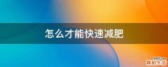 怎么才能快速减肥