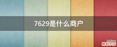 7629是什么商户