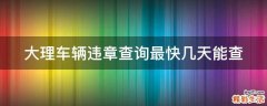 大理车辆违章查询最快几天能查