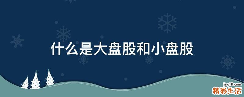 什么是大盘股和小盘股
