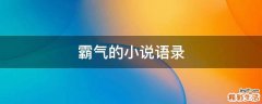 霸气的小说语录