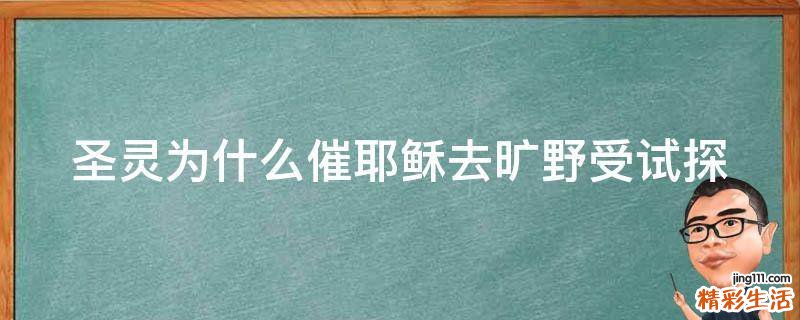 圣灵为什么催耶稣去旷野受试探