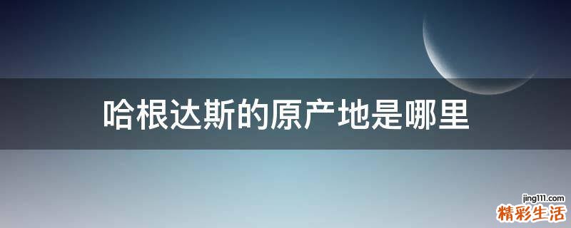 哈根达斯的原产地是哪里