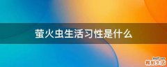 萤火虫生活习性是什么