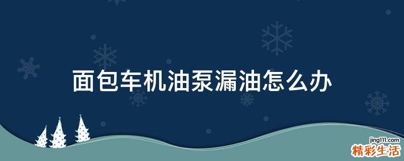 面包车机油泵漏油怎么办