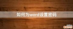 如何为word设置密码