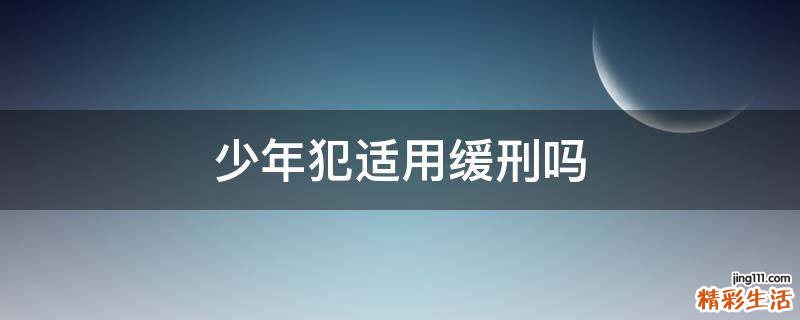 少年犯适用缓刑吗