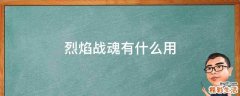 烈焰战魂有什么用