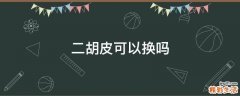 二胡皮可以换吗