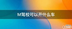 M驾校可以开什么车