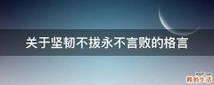 关于坚韧不拔永不言败的格言