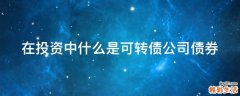 在投资中什么是可转债公司债券