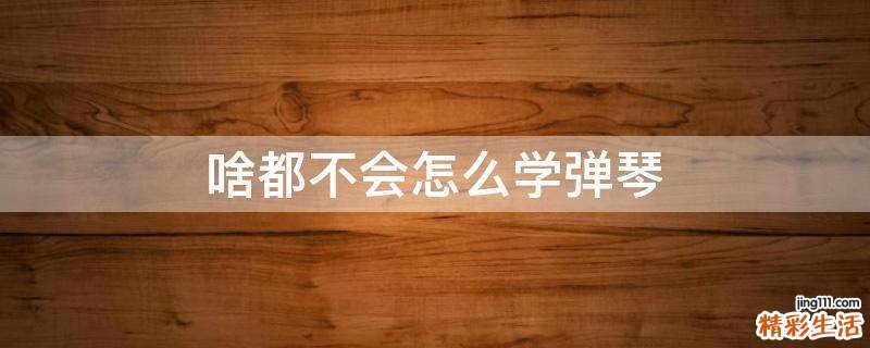 啥都不会怎么学弹琴