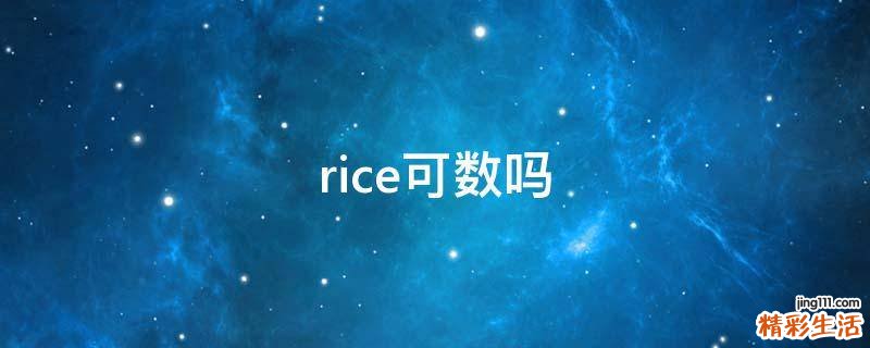 rice可数吗
