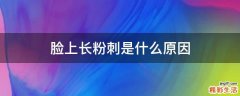 脸上长粉刺是什么原因