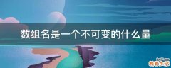 数组名是一个不可变的什么量