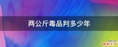 两公斤毒品判多少年