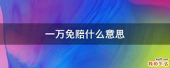 一万免赔什么意思