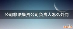 公司非法集资公司负责人怎么处罚