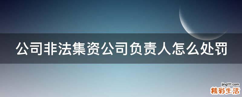公司非法集资公司负责人怎么处罚