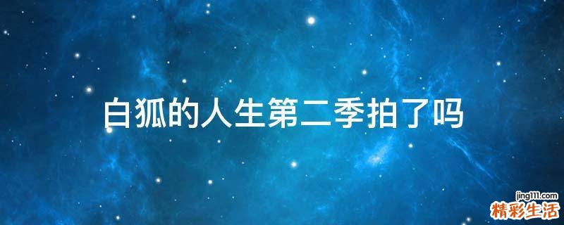 白狐的人生第二季拍了吗