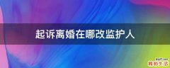 起诉离婚在哪改监护人