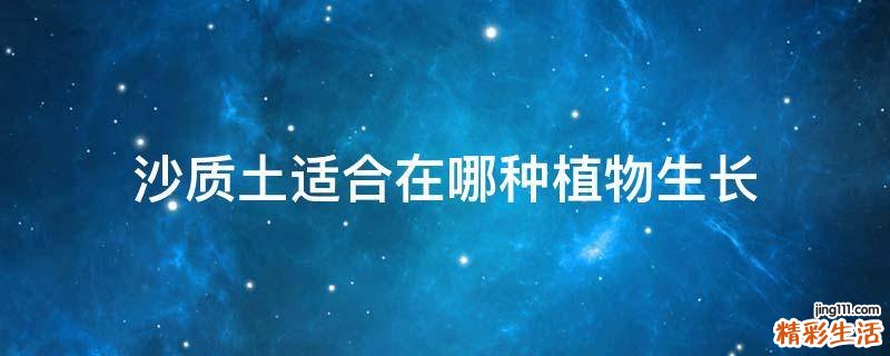 沙质土适合在哪种植物生长