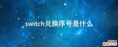 switch兑换序号是什么