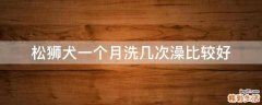 松狮犬一个月洗几次澡比较好