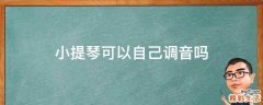 小提琴可以自己调音吗