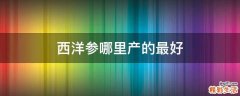 西洋参哪里产的最好