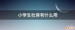 小学生社保有什么用