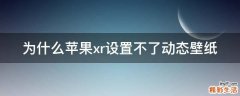 为什么苹果xr设置不了动态壁纸