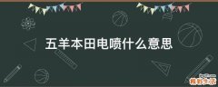 五羊本田电喷什么意思