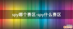 spy哪个赛区-spy什么赛区