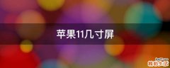 苹果11几寸屏