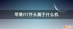 苹果f17开头属于什么机