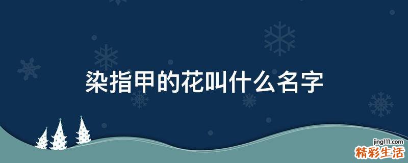 染指甲的花叫什么名字