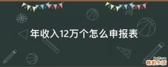 年收入12万个怎么申报表