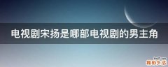 电视剧宋扬是哪部电视剧的男主角