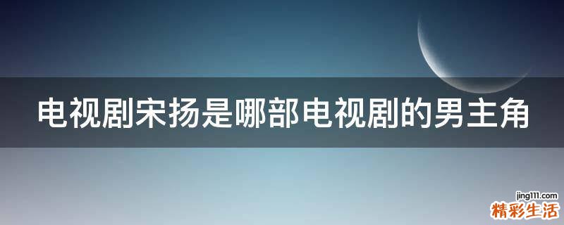 电视剧宋扬是哪部电视剧的男主角