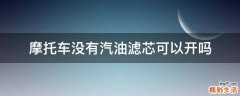 摩托车没有汽油滤芯可以开吗